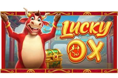 omutogell Caishen Wins live blackjack studio with dealer visible on multiple cameras