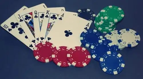 omutogell Match Winner live blackjack table with real dealer on mobile screen